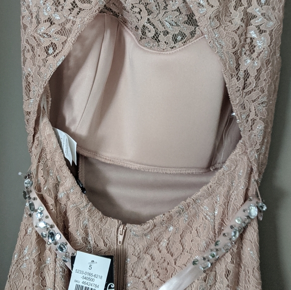 NWT Pink Lace Mermaid Dress/Gown - Picture 3 of 7
